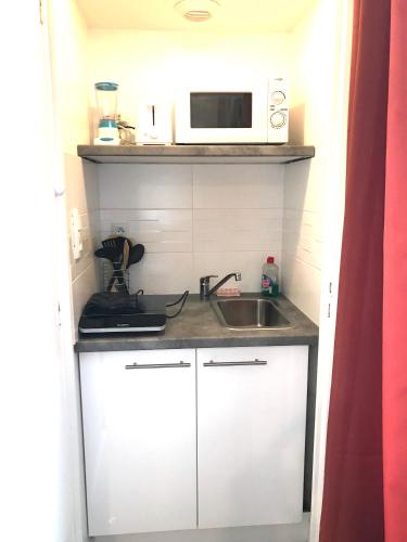 une petite cuisine avec un évier et un micro-ondes dans l'établissement LE CASTEL LILY - Calme - Face aux Parcs - Immeuble de caractère, à Vichy