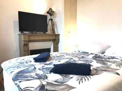 - un lit avec 2 oreillers et une télévision dans l'établissement LE CASTEL LILY - Calme - Face aux Parcs - Immeuble de caractère, à Vichy