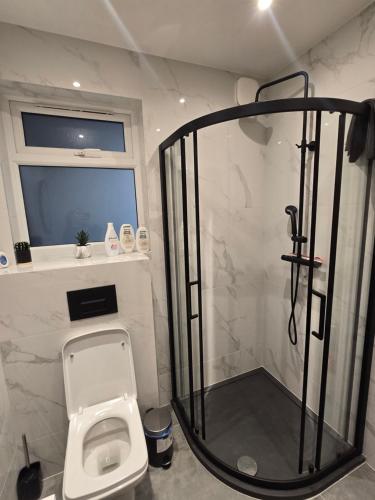 a bathroom with a shower and a toilet at Dreams House in Hendon
