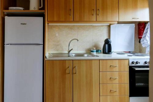 Una cocina o zona de cocina en Anelia's Home