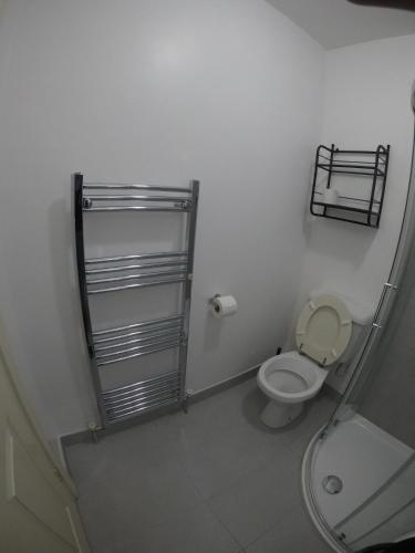 a small bathroom with a toilet and a shower at Seagull Cottage B&B in Portmagee