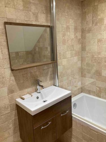 une salle de bain avec un lavabo et une baignoire dans l'établissement Appartement refait à neuf dans villa, à Villard-de-Lans