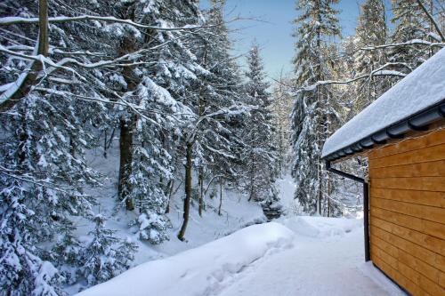 a cabin in the woods with snow on the trees at Gronik in Szczyrk