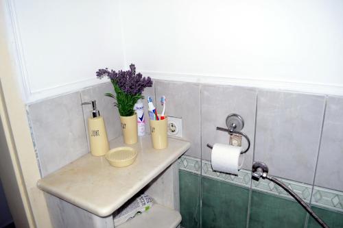 Bany a Vesna Apartman