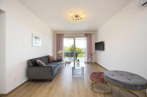 Μια τηλεόραση ή/και κέντρο ψυχαγωγίας στο Apartment Mirna with Swimming Pool