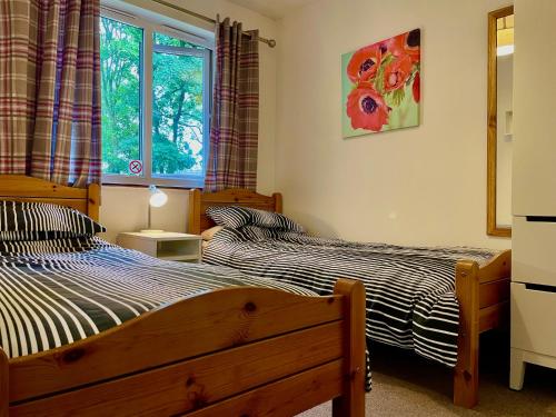 a bedroom with two beds and a window at SaltWater Lodge For Penzance St Ives Ideal For Exploring West Cornwall in Penzance
