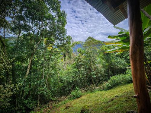a view of the jungle from a house at Cloudbridge Nature Reserve in Herradura