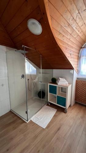 a bathroom with a glass shower in a attic at NEW Suite mar e monti in Appiano sulla Strada del Vino