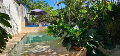 a swimming pool with an umbrella and some plants at Casa La Sultana Amazing restored house with pool in Valladolid
