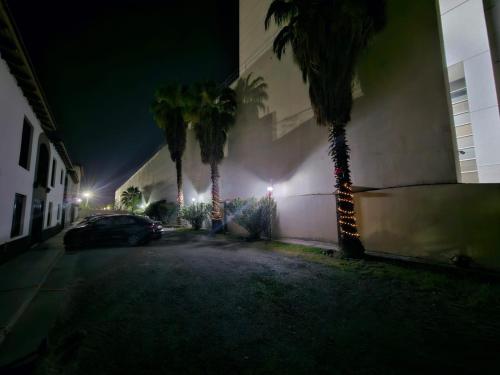 eine Straße mit Palmen und ein Gebäude in der Nacht in der Unterkunft Complejo Cerrado Zona Shopping in Guaymallen