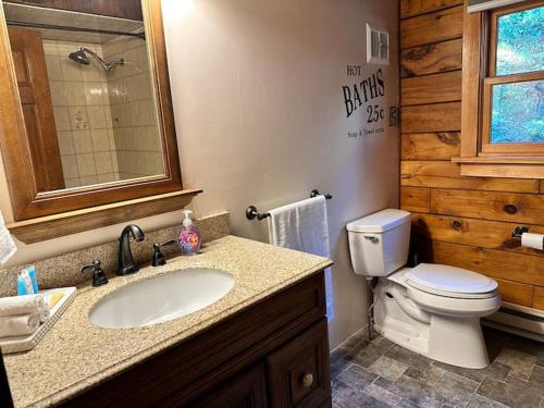 a bathroom with a toilet and a sink with a mirror at Forest Tree Log Cabin in Middletown