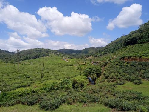 a green field with trees and mountains in the background at Heaven meadows Homestay in Vagamon
