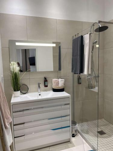 une salle de bain avec un lavabo et une douche dans l'établissement L'essenCieL, superbe et calme T2 au centre historique, à Dijon