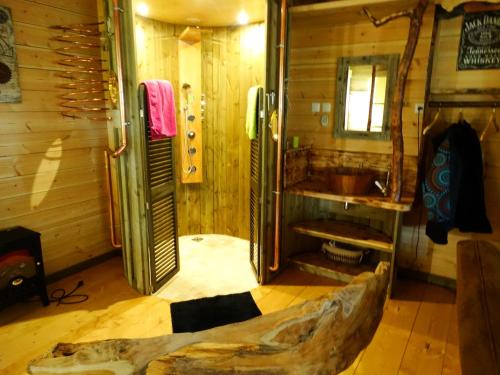 a bathroom with a sink and a shower in a room at Etangs du Moulin in Suzy