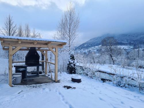 a wooden gazebo with a stove in the snow at Bran Mountain Living in Bran