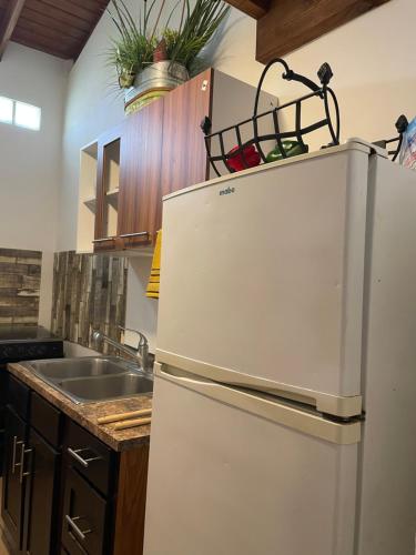 Η κουζίνα ή μικρή κουζίνα στο TL Apartment