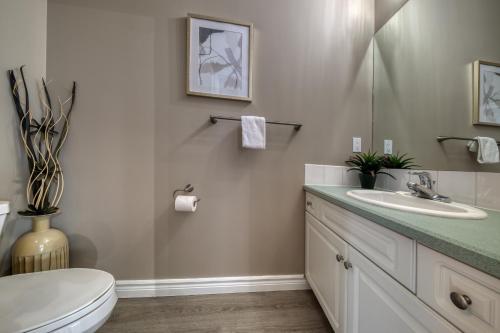 a bathroom with a sink and a toilet and a mirror at Marble Canyon in Fairmont Hot Springs
