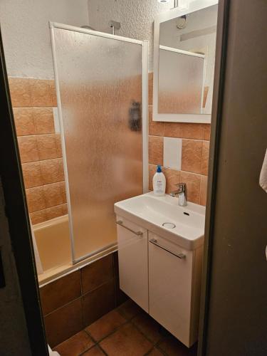 une salle de bain avec une douche, un lavabo et un miroir dans l'établissement le Meollion, à Orcières