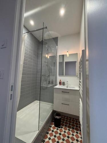 une salle de bain avec douche et lavabo dans l'établissement Appartement cosy avec balcon, à Roanne