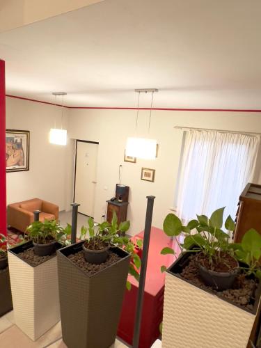 a living room with three potted plants at Casa Celeste in Nocera Umbra