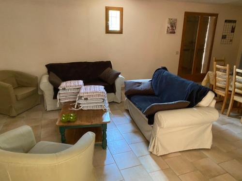 un salon avec des canapés et une table basse dans l'établissement La Bastide des Amis, à Flayosc