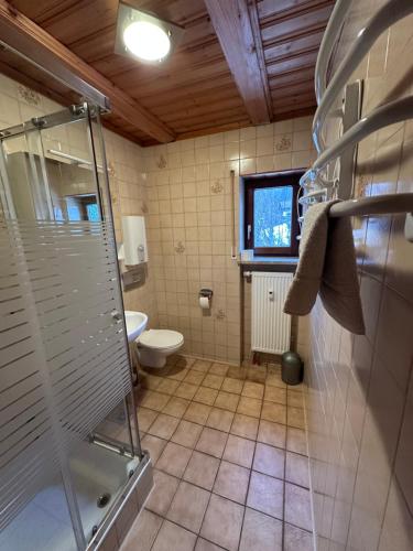 ein Badezimmer mit Toilette und Glasdusche in der Unterkunft Uriges Apartment + Schönblick + mitten im Bayerischen Wald + WLAN kostenfrei in Schöfweg
