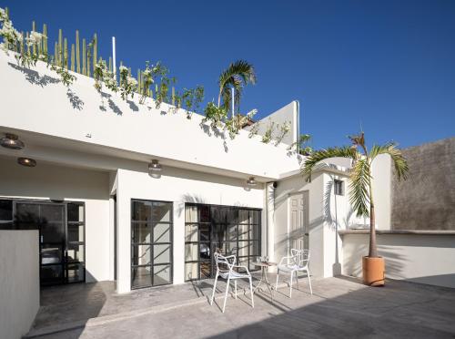 un edificio bianco con due sedie e una palma di Casa Lumos - Minimalist Comfort Suites in Centro Historico a Città di Oaxaca