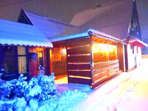 a house covered in christmas lights in the snow at Kuća za odmor-Kućica in Mrkopalj