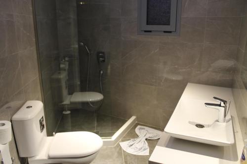 a bathroom with a toilet and a sink at LA CARETTA S1 in Alikanas
