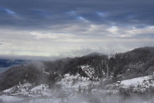 a view of a snow covered mountain with trees at Silvani Kop NLux67, Milmari Apartments & Spa in Kopaonik
