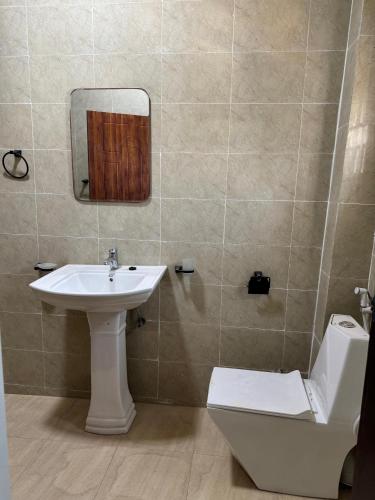 a bathroom with a sink and a toilet and a mirror at Luxury Two Bed Apartments Kotu in Kotu
