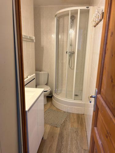 une salle de bain avec douche et toilettes dans l'établissement STUDIO 4 pers LA PLAGNE 2050M, à La Plagne