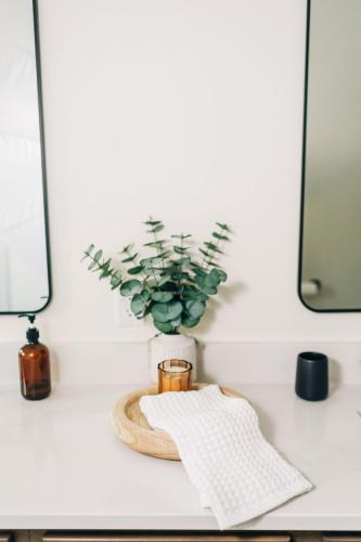 a white table with a potted plant on it at Little River Retreat in Townsend