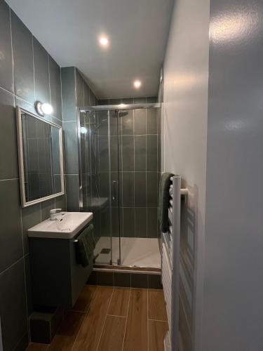 une salle de bain avec douche et lavabo dans l'établissement Appart 3 pièces très lumineux, à Meudon