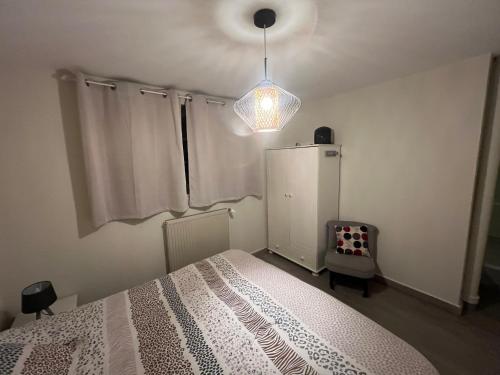 a bedroom with a bed and a chandelier at Le gîte du cavalier au cœur de la Forêt/jacuzzi in Dole