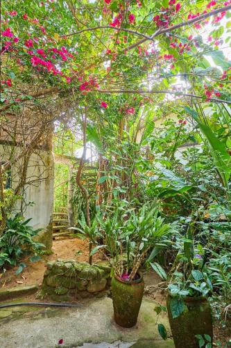 Taman di luar Residence Picinguaba