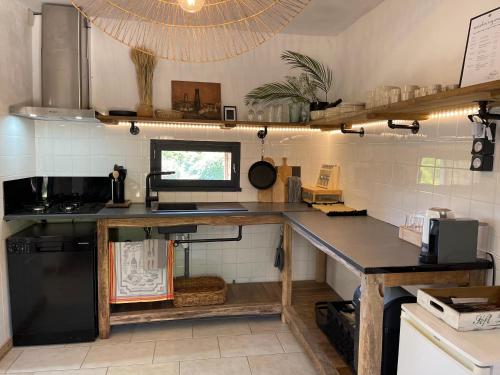 Dapur atau dapur kecil di Gite D'Amis de Belbouys