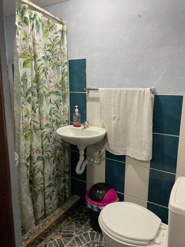 a bathroom with a sink and a toilet and a shower curtain at Green Hostel in Moyogalpa
