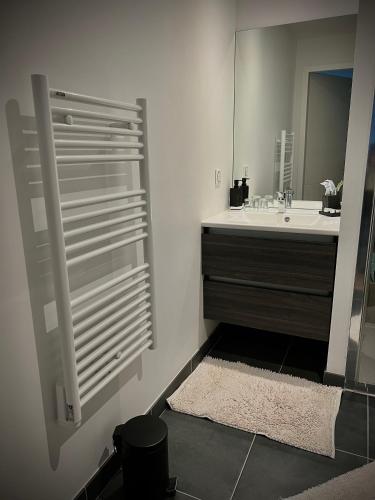 une salle de bain avec un lavabo et un miroir dans l'établissement Appartement Vannes Odyssée, à Vannes