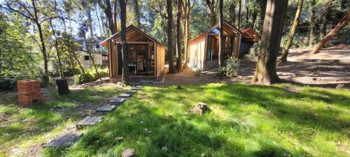 a cabin in the woods with green grass and trees at Cabañas Vive el Bosque in Coajomulco