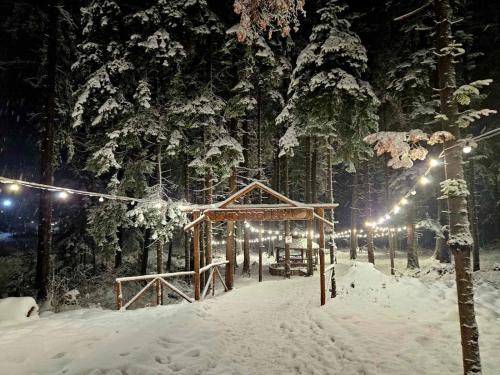 Borovets Villa Park studio v zimě