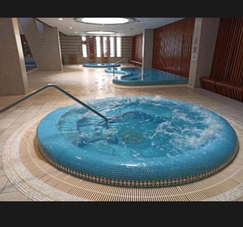 Dunapest thermal luxury residence