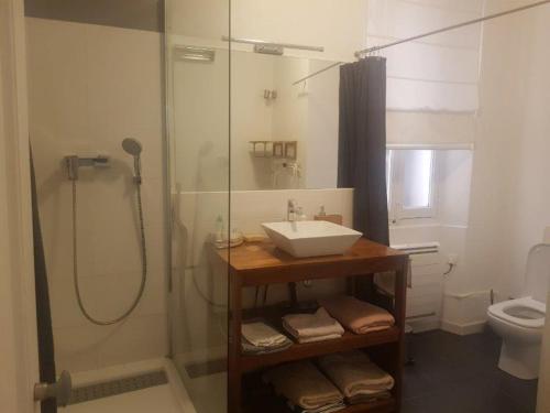 une salle de bain avec un lavabo et une douche dans l'établissement Charmant appartement T4 Centre historique, à Hyères
