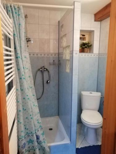 a bathroom with a toilet and a shower with a shower curtain at Chata na Antošáku in Ždiar