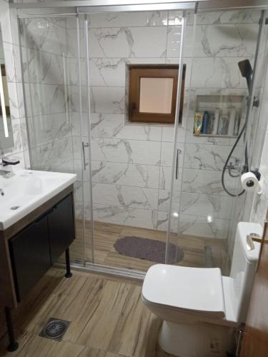 a bathroom with a shower and a toilet and a sink at House under peaks in Kozarica