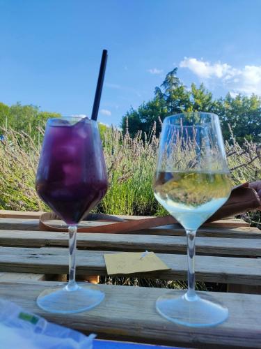 two glasses of wine sitting on a wooden table at Casa Silos in Arcevia