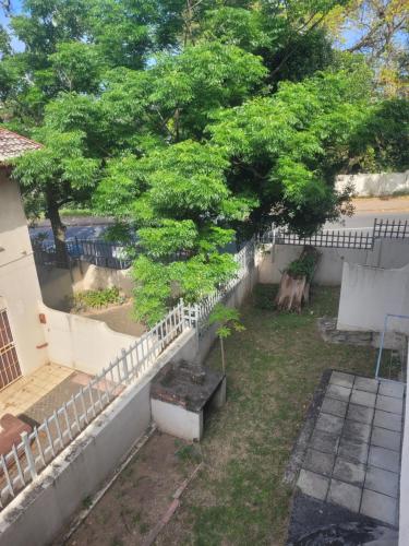 a tree in a yard next to a fence at Franjipani in Margate