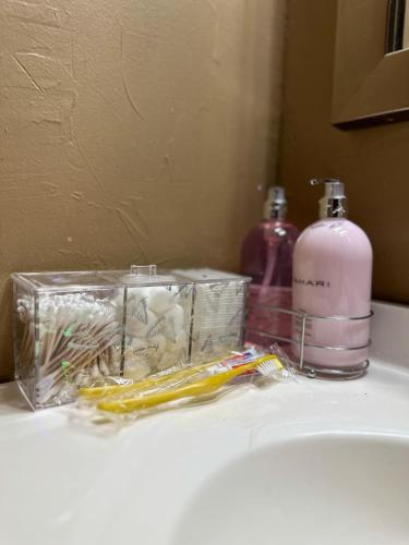 a bathroom sink with toothbrushes and a bottle of soap at Cozy Vacation home in Port Richey