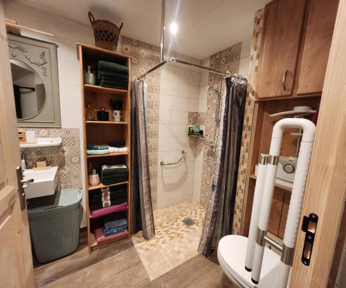 Koupelna v ubytování Les clés des pistes