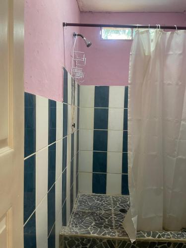 a bathroom with a shower with blue and white tiles at Green Hostel in Moyogalpa